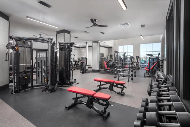 Dumbbells weight benches and cardio machines fitness gym at The Mark at Tucson in Tucson Student Accommodation