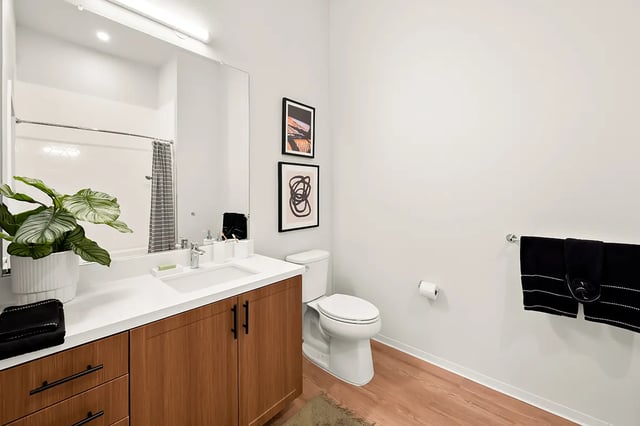 Modern vanity toilet artwork plant and shower bathroom at Identity Davis Apartments in Davis Student Accommodation