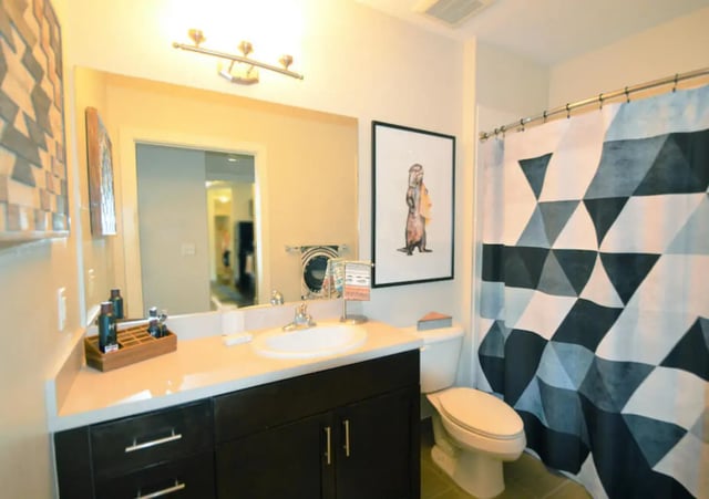 Sink toilet framed artwork geometric shower curtain Bathroom at University Park in Boca Raton Student Accommodation