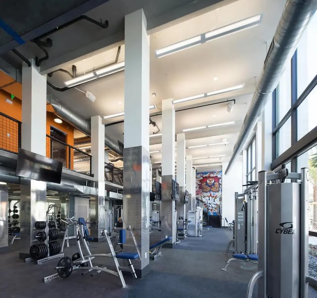 Weight racks machines and benches gym area at University Park in Boca Raton Student Accommodation