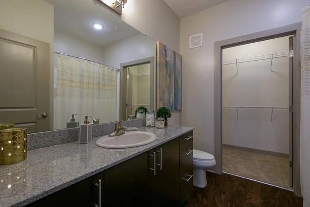 Vanity sink toilet and closet bathroom at The Standard in St. Louis Student Accommodation
