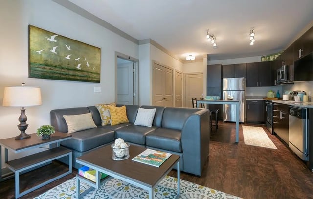 Sofa coffee table lamp artwork kitchen living room at The Standard in St. Louis Student Accommodation