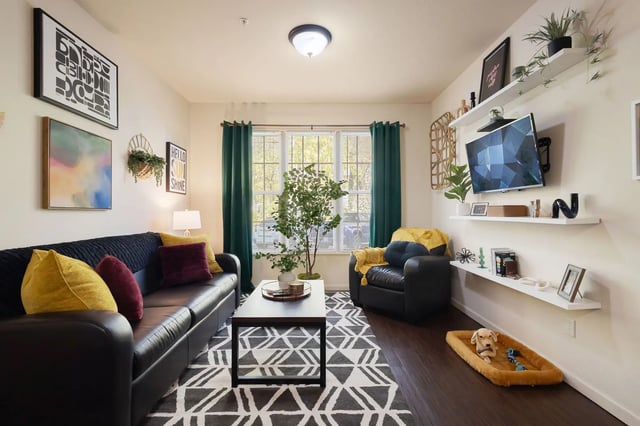 Black couch yellow cushions coffee table living room at Irish Row in South Bend Student Accommodation