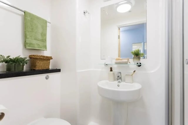 Sink mirror towel plants basket bathroom at Sugarhouse in Edinburgh Student Accommodation