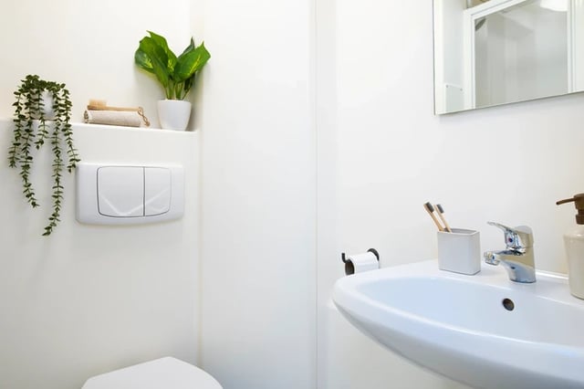 Toilet sink plants and toothbrush holder bathroom at Clodien House in Cardiff Student Accommodation
