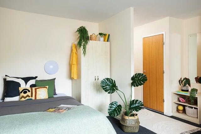 Bed wardrobe plants door and shelf bedroom at Clodien House in Cardiff Student Accommodation