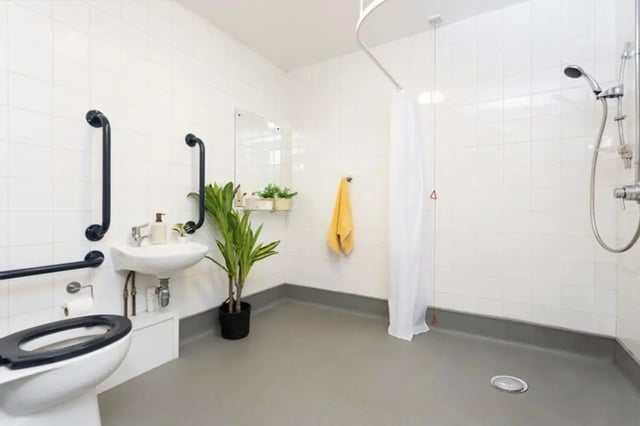 Toilet sink shower grab bars plant bathroom at Thurso Street in Glasgow Student Accommodation