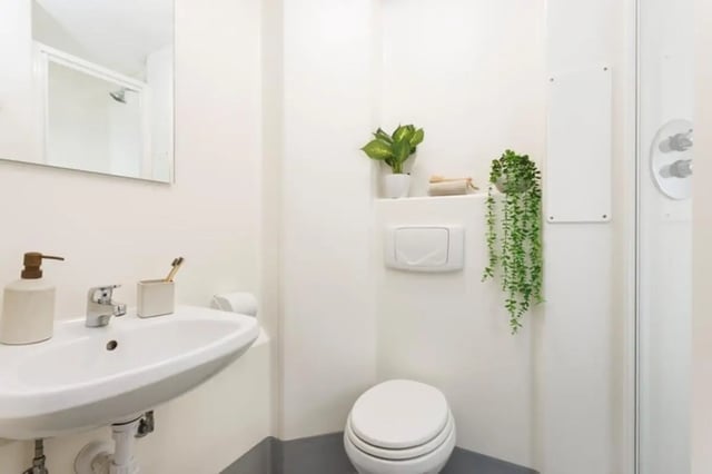 Sink toilet plants and shower visible bathroom at The Tannery Leeds in Leeds Student Accommodation