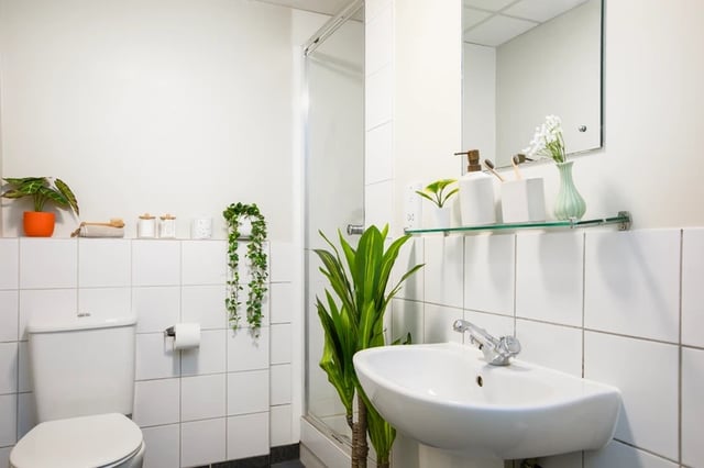Toilet sink plants and shower enclosure bathroom at The Rackhay in Bristol Student Accommodation