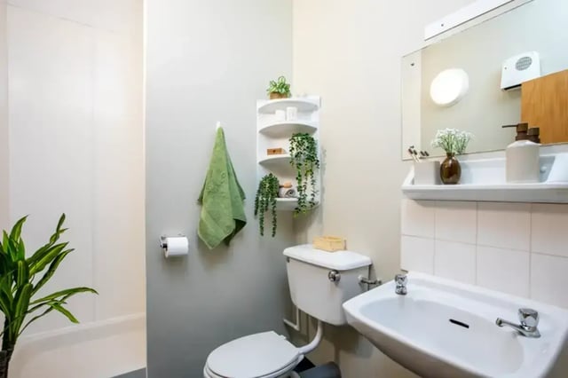 Toilet sink towel shelf plants bathroom at Favell House in Bristol Student Accommodation