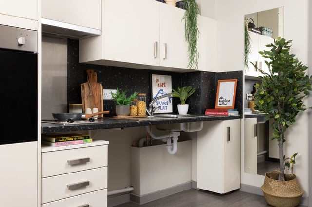 Compact student kitchen with oven sink and plants kitchen at Salisbury court in Edinburgh Student Accommodation
