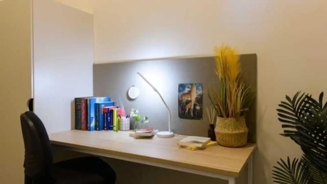 Desk with books lamp and plants study area at UniLodge Herston in Brisbane Student Accommodation