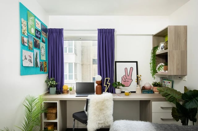 Desk with laptop plants artwork and shelf Study area at Ty Pont Haearn in Cardiff Student Accommodation