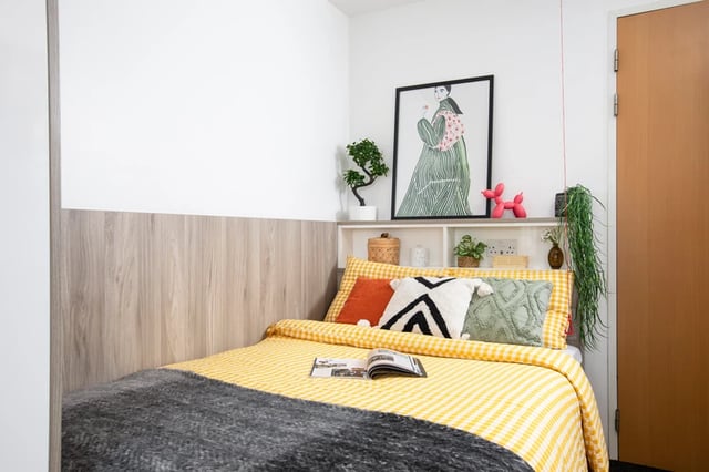 Yellow checkered bed artwork dog balloon Bedroom at Ty Pont Haearn in Cardiff Student Accommodation