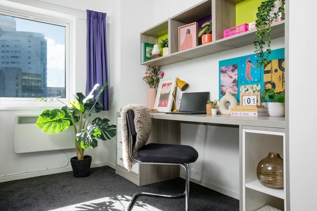 Desk chair laptop plant and shelves study area at Ty Pont Haearn in Cardiff Student Accommodation