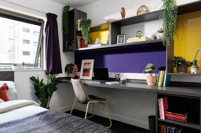 Desk chair laptop plants and shelves study area at Sir Charles Groves Hall in Manchester Student Accommodation