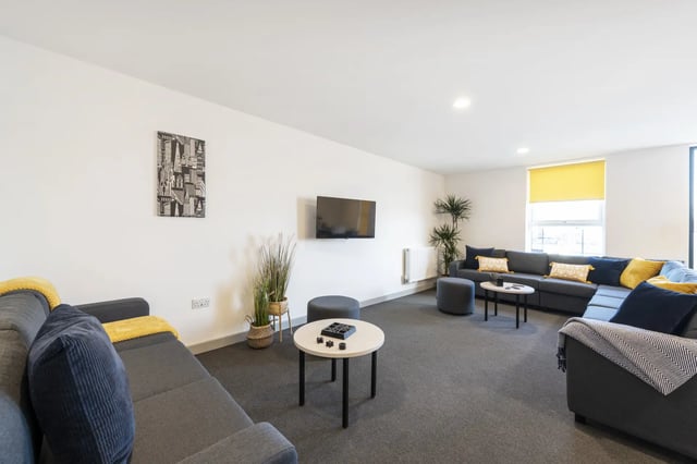 Large sectional sofa television artwork and plants Living room at Pine Mill in Lincoln Student Accommodation