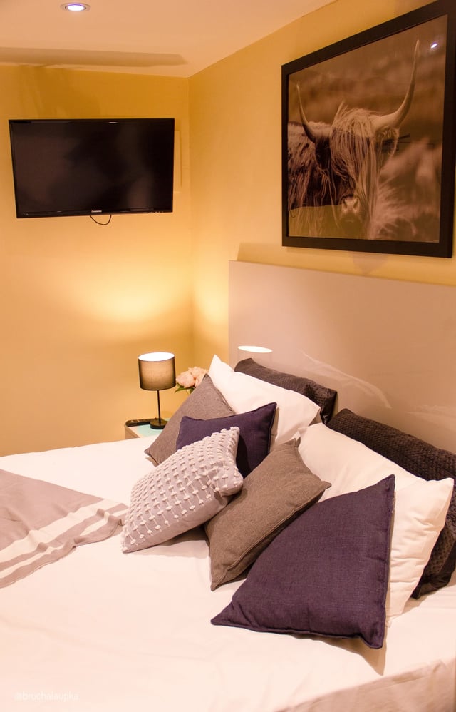 Bed with tv and cow print bedroom at ume 142 Darlinghurst Village in Sydney Student Accommodation