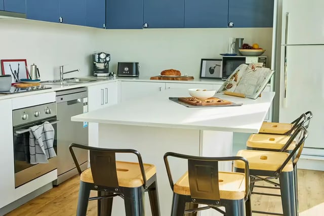 Kitchen with island bar stools appliances and blue cabinets kitchen at Scape at University of Sydney in Sydney Student Accommodation