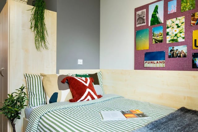 Striped bed green plant and collage bedroom at Rahere Court in London Student Accommodation