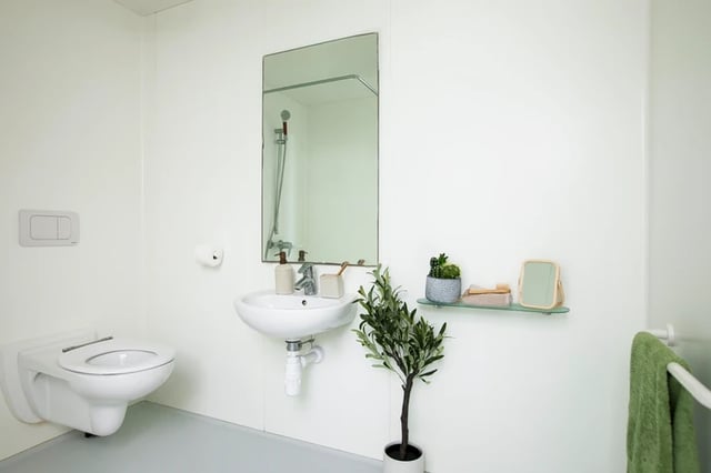 Toilet sink mirror plant and towels bathroom at Wellington Lodge in London Student Accommodation