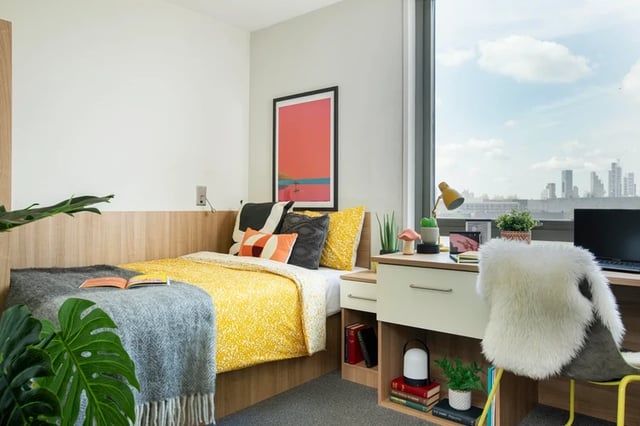 Bed desk chair plant and cityscape bedroom at Wellington Lodge in London Student Accommodation
