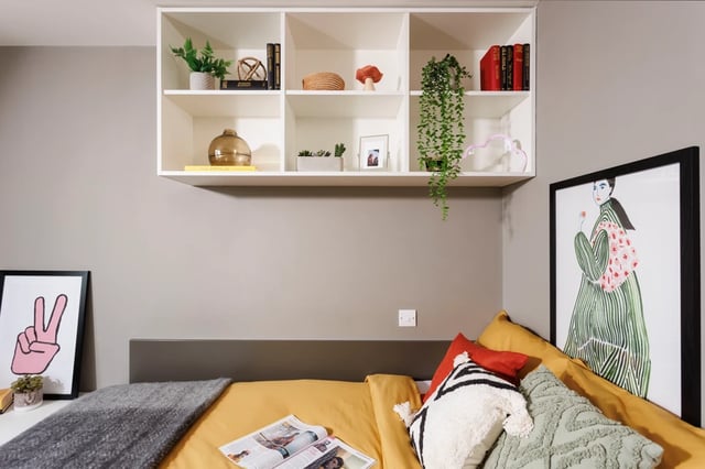 Bed with artwork plant books and decorative shelf Bedroom at Olympic Way in London Student Accommodation