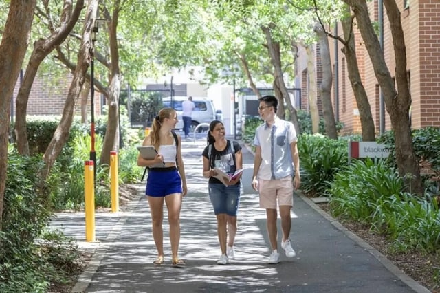 Students walking on campus path with trees exterior at Sydney University Village in Sydney Student Accommodation