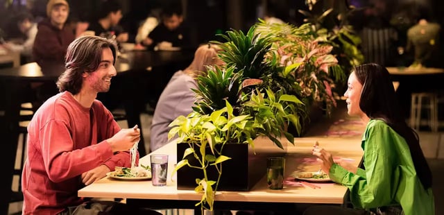 People dining at a communal table with plants living room at Scape Darling House in Sydney Student Accommodation