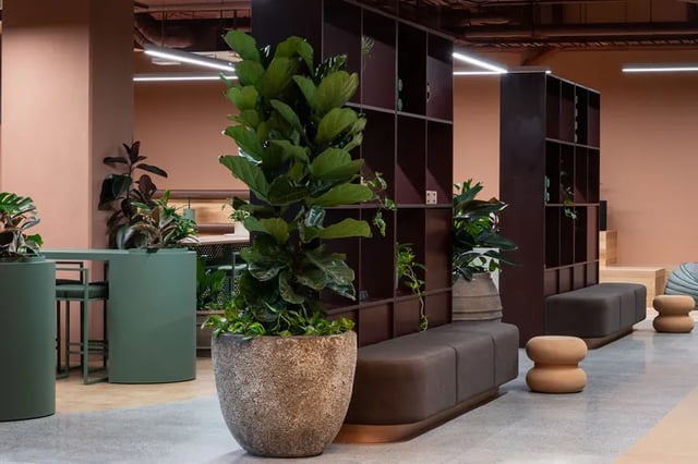 Plants shelves benches and seating area communal space at Campus House in Melbourne Student Accommodation