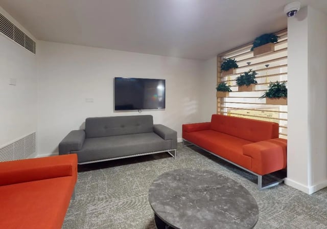 Two sofas television and plants living room at iQ Tufnell House in London Student Accommodation