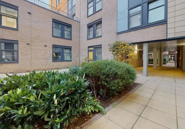 Bushes and walkway outside building exterior at iQ Tufnell House in London Student Accommodation