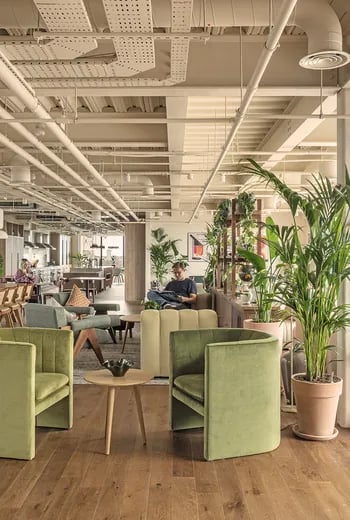 Green chairs table plants seating area communal space at ARK Wembley in London Student Accommodation