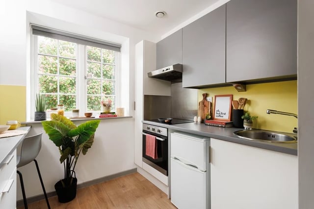 Window plants oven fridge and sink kitchen at Houghall Court in Durham Student Accommodation