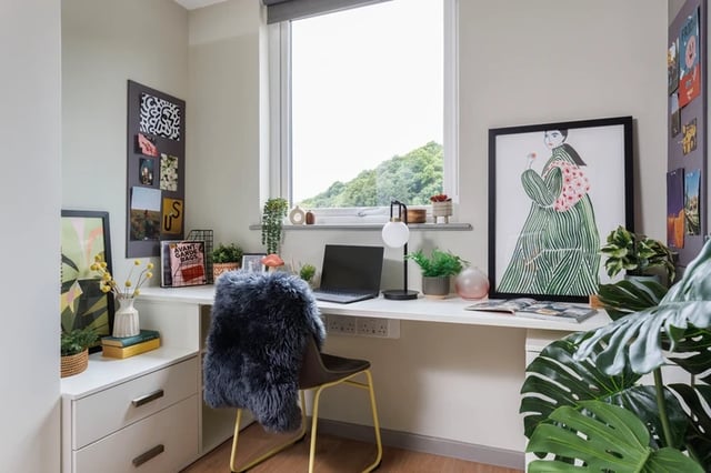 Desk with laptop plant artwork and fur throw study area at Houghall Court in Durham Student Accommodation