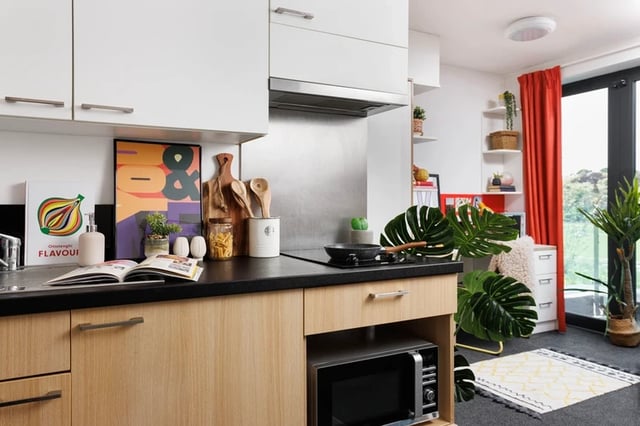 Modern kitchen with microwave and decorative plants kitchen at Elvet Studios in Durham Student Accommodation