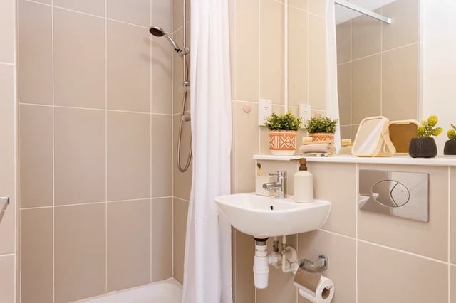 Shower sink mirror plants and toilet flush Bathroom at Elvet Studios in Durham Student Accommodation