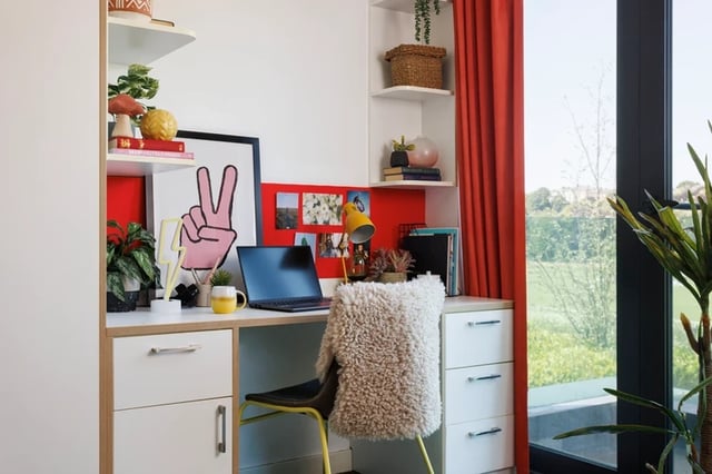 Desk with laptop plants and artwork study area at Elvet Studios in Durham Student Accommodation