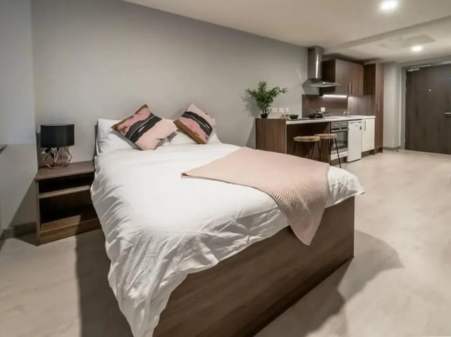 Bed bedside table plant kitchen area bedroom at Scotway House in Glasgow Student Accommodation