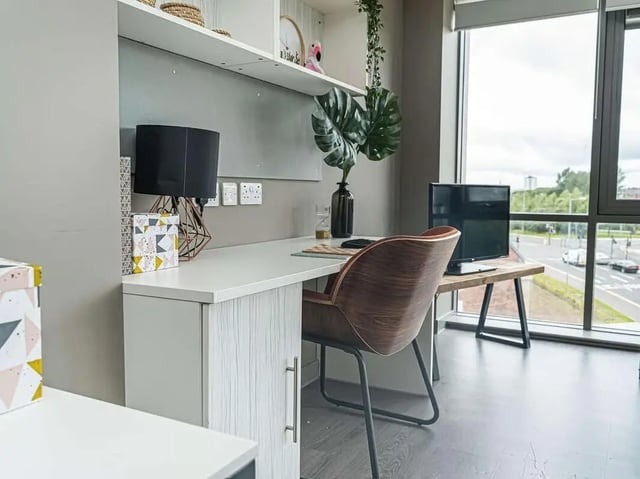 Desk chair lamp plant television study area at Scotway House in Glasgow Student Accommodation