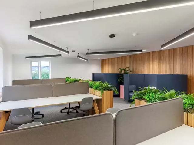 Desks plants and seating pods study area at Calthorpe Court in Birmingham Student Accommodation