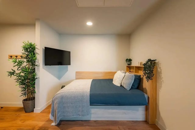 Bed TV plant wood headboard bedroom at Redgate in Nottingham Student Accommodation