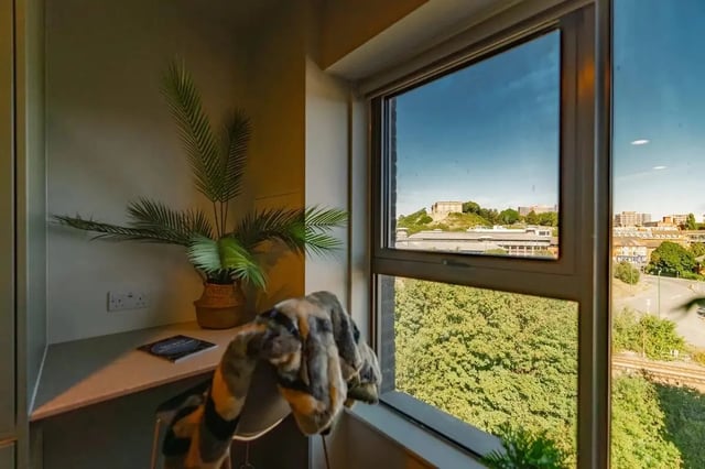 Desk with plant blanket and city view study area at Redgate in Nottingham Student Accommodation