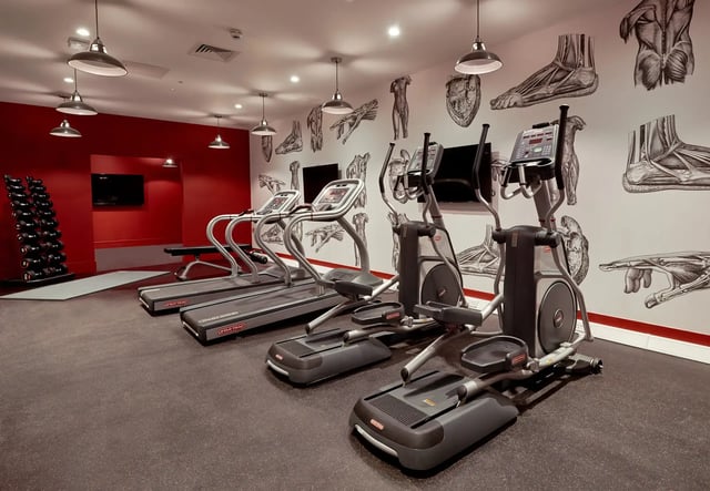 Treadmills and ellipticals with anatomical art Gym at Cumberland Place in Southampton Student Accommodation