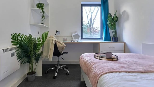 Bed desk chair plants and window bedroom at The Village at The Viaduct in Durham Student Accommodation