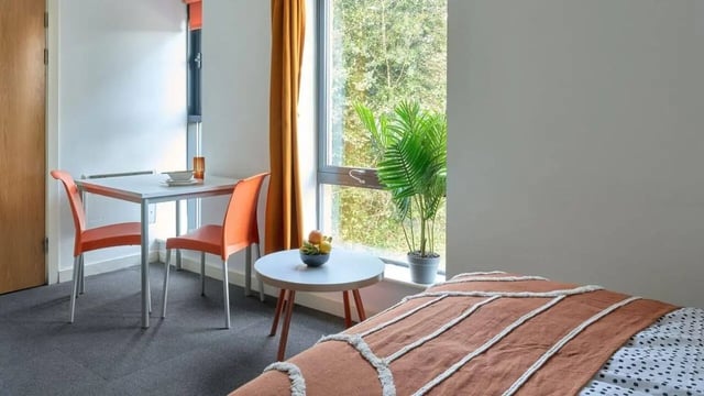 Desk chairs plant bed and window bedroom at The Village at The Viaduct in Durham Student Accommodation