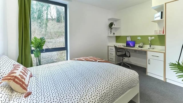 Bed desk chair plants and window bedroom at The Village at The Viaduct in Durham Student Accommodation