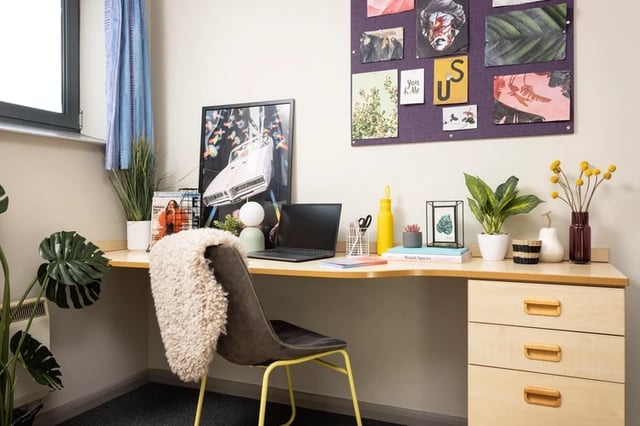 Desk laptop plants artwork chair study area at Archways in Sheffield Student Accommodation