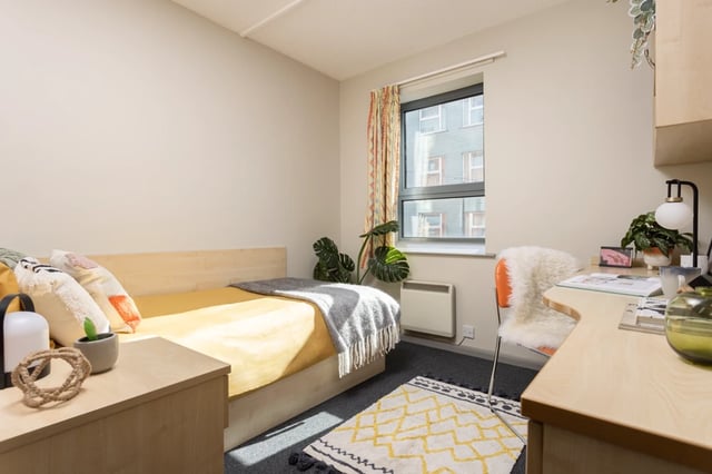 Bed desk plant and rug bedroom at Archways in Sheffield Student Accommodation