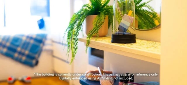 Potted fern ice pop decoration on shelf bedroom at Scape Ascot in Sydney Student Accommodation